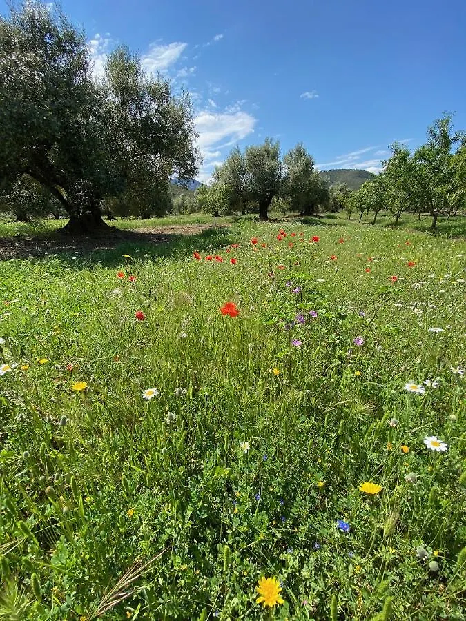 Holiday home Wonderful Comfortable Finca In The Burga Valley Rasquera